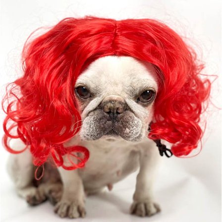 Roliga hund- och katt-cosplayperuker, huvudbonad kostymleksaker, husdjurskostymer, kattkostymer för Halloween, jul (burgundy långt lockigt hår)