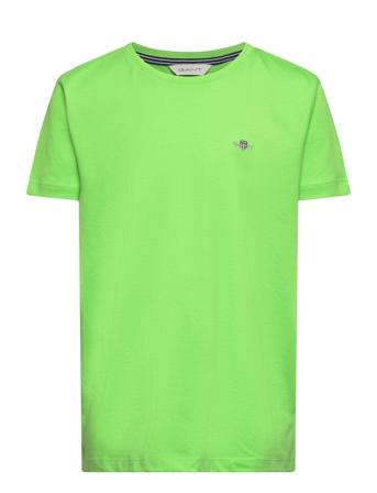 Shield Ss T-Shirt Green GANT