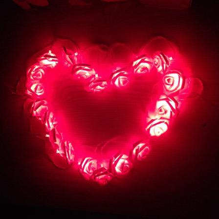 20 LED USB-drevne Premium String Flower Romantisk Rose Fairy Lys