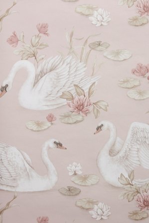 Newbie | Tapet Lily Swan | Lyserosa