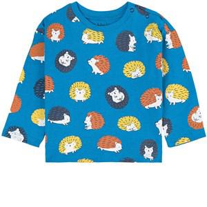 Hatley Happy Hedgehog Printed Baby T-shirt Diva Blue 4 Years - Tops - 4 years - Blue - Junge