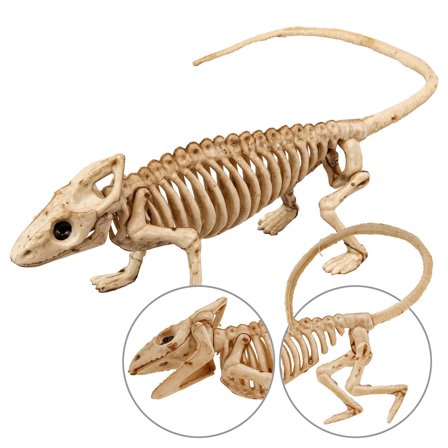 Iguana Skelett Dekoration