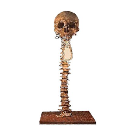 Kreativ hodeskallelampe bordlampe hjem skrekk soverom dekorasjon