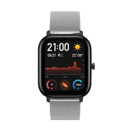 Huami Amazfit Gts Smartwatch Karabinhage BandSilver
