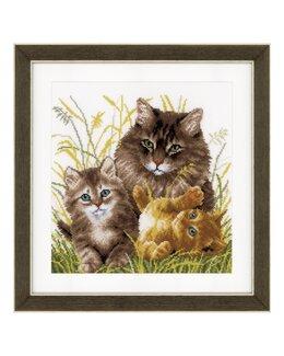 Broderikit Tavla Kattfamilj