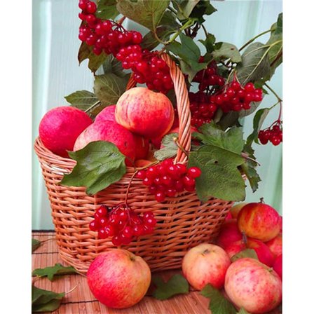 30x40cm Aikuisten ja Lasten 5D DIY Timanttimaalaussetti - Kudotut Hedelmät