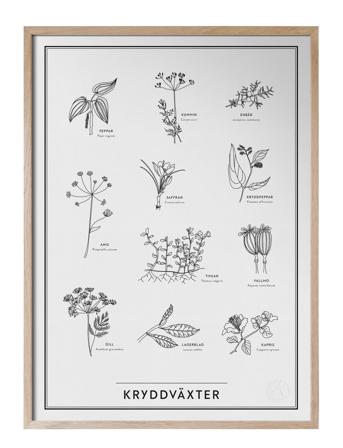 Kryddväxter Home Decoration Posters & Frames Posters Nature Beige Kunskapstavlan