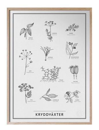 Kunskapstavlan | Kryddväxter | 50X70