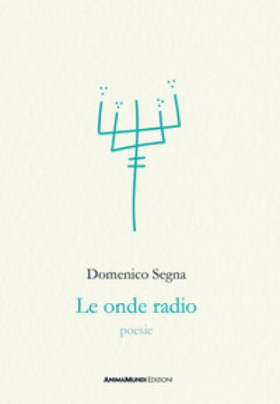 Le onde radio Domenico Segna