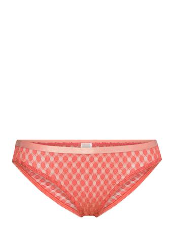 Dotta Lace Tallie Briefs Orange Becksöndergaard