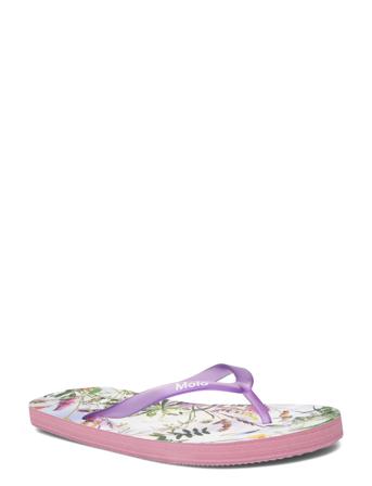 Zeppo Slippers Hjemmesko Multi/patterned Molo