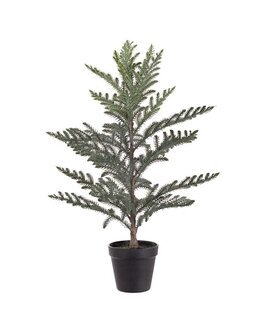 Konstväxt Rumsgran i kruka Grön - Jul - Mr Plant