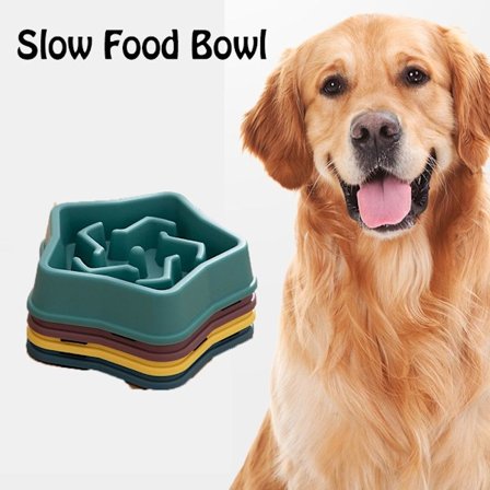 Pet Slow Food Bowl Slow Feeder GRÖN - spot sales