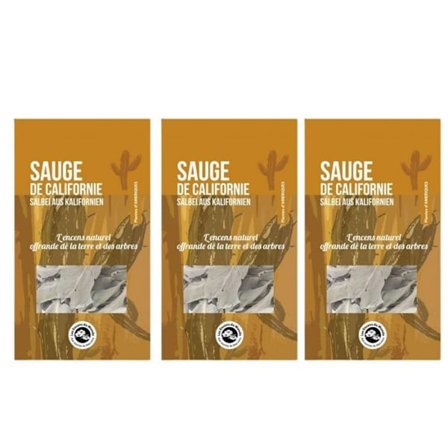 6 kvistar av California Sage att bränna