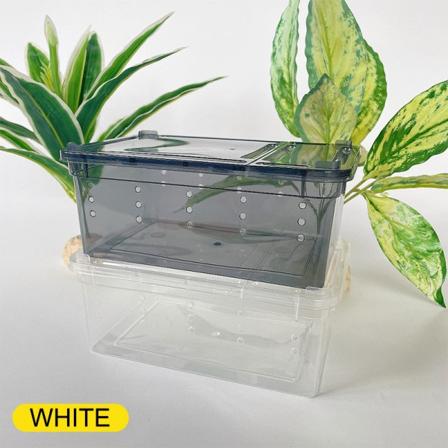 Reptiler Spindel Transparent Plast Matningsboks Insektmatning Hvit 15*10*6.5cm White 15*10*6.5cm