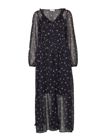 2NDDAY | 2Nd Petra Anemone | 34