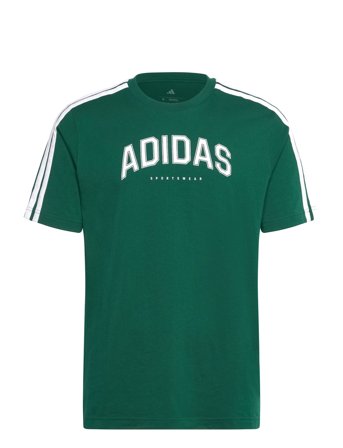Adidas Sportswear M C Colleg Tee Grön