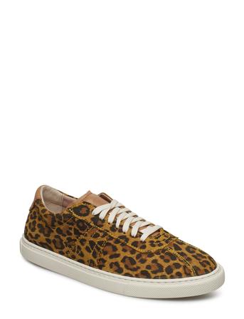 Sammy W Suede Shoe Brown Sneaky Steve
