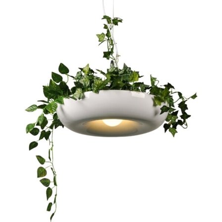 Moderne Planter Pendel Lys Gør-det-selv have Blomster Krydde Hængende Lampe