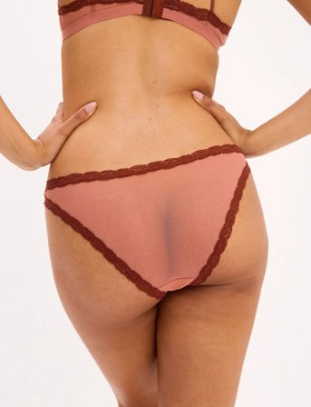 Understatement Underwear Mesh Lace Trim Bikini Briefs - Red - L