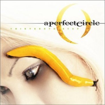 Thirteenth step A Perfect Circle