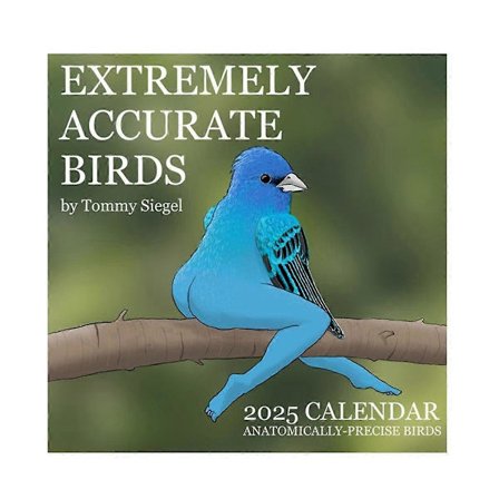 2025 Ekstremt Nøyaktig Fugler Kalender Dekorativ Vegg Månedlig Kalender for Fugleelskere Rom Kalendere