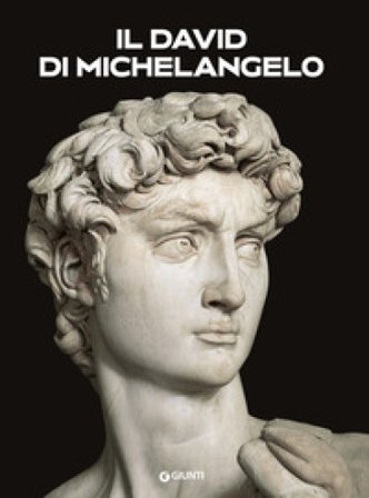 Il David di Michelangelo Franca Falletti
