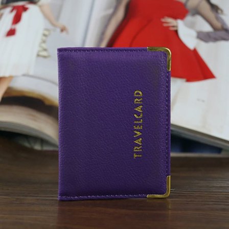 Fodral for Busskort & Tågkort - på lager{FY}