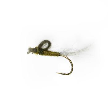 Cdc Kläckare # 10