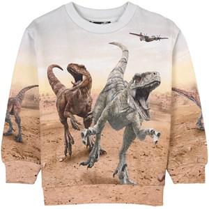 Molo Dinos Galore Miksi GOTS Graphic Sweatshirt 116 cm - Jumpers and knitwear - 116 cm - Beige - Junge