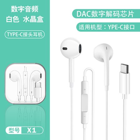 Apple iPhone 15/16 Kompatibla USB-C In-Ear Hörlurar med Mikrofon EarPods (Svart)