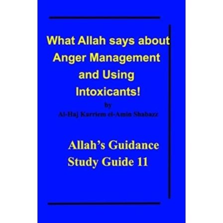 What Allah says about Anger Management and Using Intoxicants! (häftad, eng)