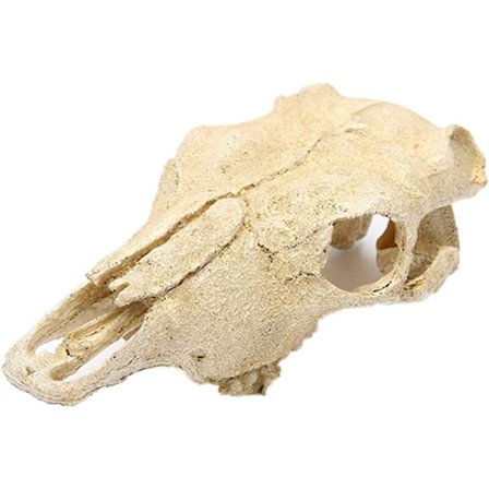 Akvarium Dyre Hodeskalle Dekorasjoner Fisk Reptil Skilpadde Tank Dekor Ornament Kjæledyr Geit