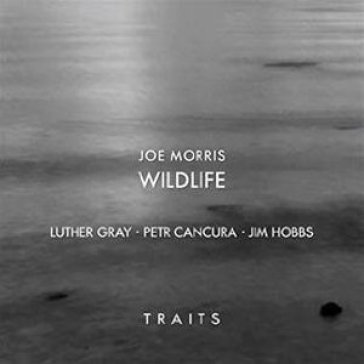 Wildlife traits Joe Morris