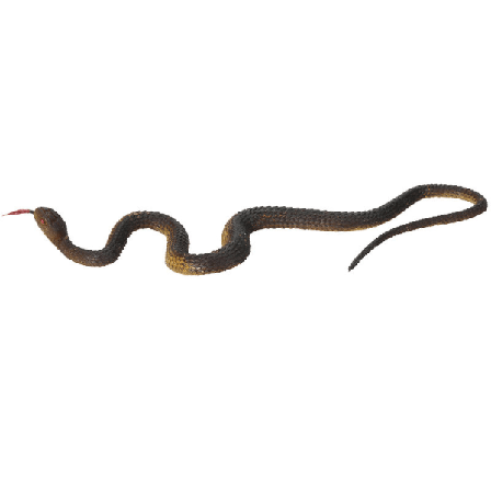 Simulering Svart Gummi Slange Falsk Slange Hage Rekvisitter Vanskelig Morsom Leke, modell: type1