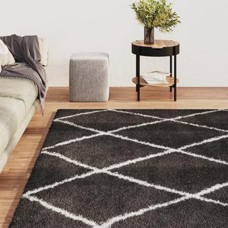 Vidaxl Matta Långluggad Gräddvit Och Antracit 160x230 Cm Antracit