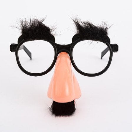 Mustache Glass Morsom Glass Fancy Dress