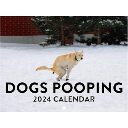 2024 Hundbajs Kalender Vackra Platser | Väggkonst Månadsfamiljekalender | Kalender för Hundgåvor Gag Hängande-C