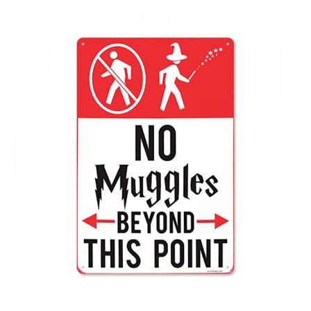 Ingen Mugglare Tillåten Bortom Denna Punkt Vintage Metallskylt (20*30cm) - Väggdekor