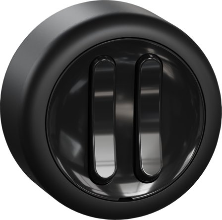 Schneider Electric Renova Kytkin kruunu, pinta-asennettava Musta, Kytkimet & pistorasiat