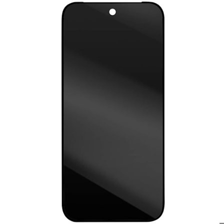 LCD-skärm och touchglas för Google Pixel 9 Relife svart