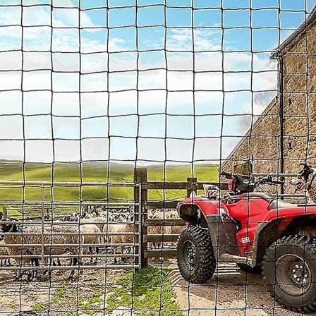 Hagenett 10m Gjenbrukbar Fuglebeskyttelse Anti Due