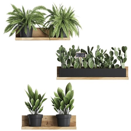 Kaktus grøn plante vægklistermærke kalligrafi stue entré vægdekoration klistermærke ZC-57-004