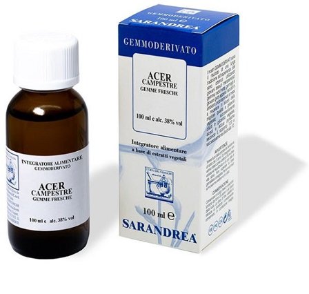 EXTRAGEM ACERO CAMPESTRE GEMME