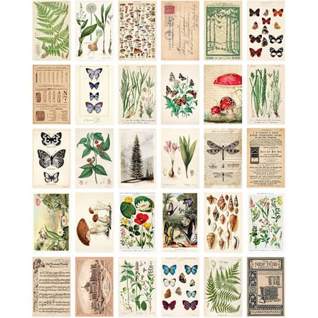 Set: 30 Vintage Style Botanicals, Nature och Mayfly Pos
