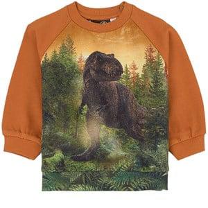 Molo Dino Life Disc GOTS Graphic Sweatshirt 62 cm - Jumpers and knitwear - 62 cm - Brown