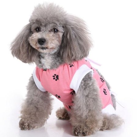 Katt återhämtningsdräkt efter operation, elastiskt kirurgiskt bandage Sh S KLB