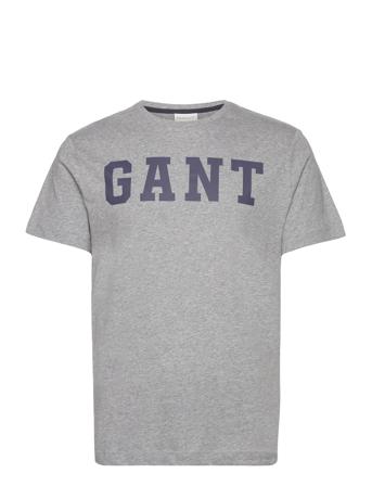 Gant Logo Ss T-Shirt T-shirts Short-sleeved Grå GANT*Betinget Tilbud