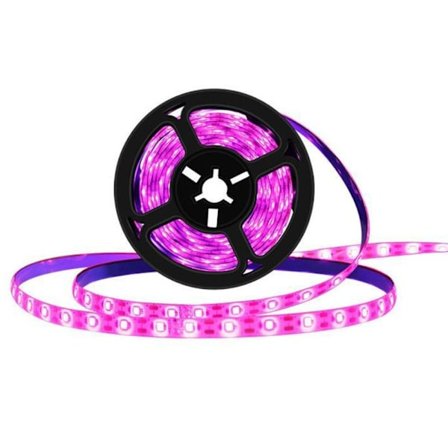 Fytolampa för växtväxttillväxtljus 3M