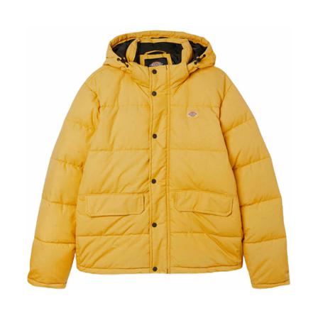 Dickies, Coats Geel, Heren, Maat:L